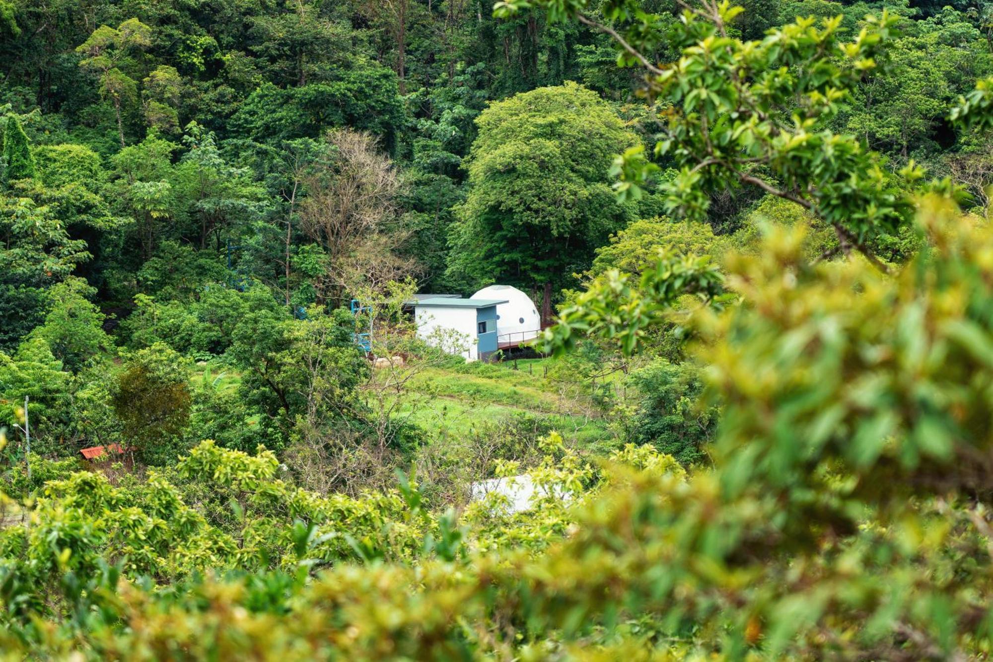 Bitzu Dome-Bijagua Riverside Glamping 외부 사진